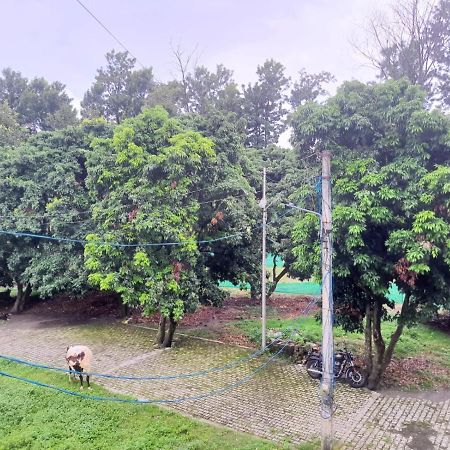 Nature View Homestay Dehradun Dış mekan fotoğraf