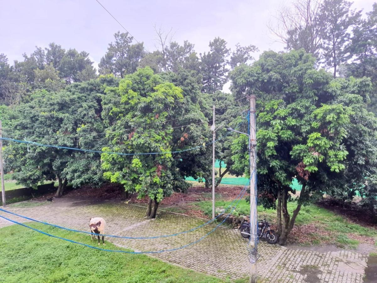 Nature View Homestay Dehradun Dış mekan fotoğraf